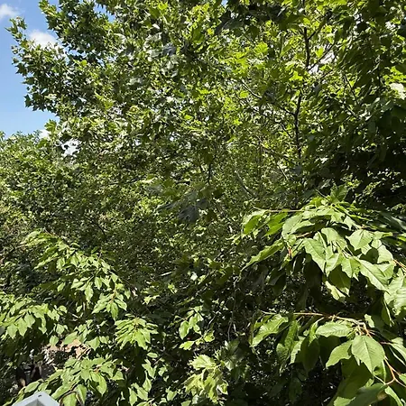 Langa Spitalul Bagdasar-parcare Inclusa Apartamento Bucareste