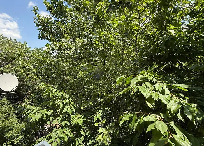 Langa Spitalul Bagdasar-parcare Inclusa Апартаменти Бухарест