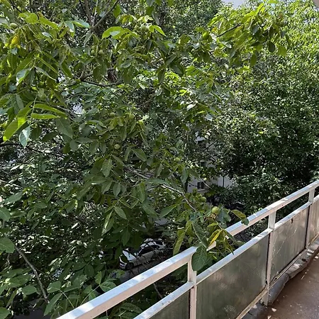 Langa Spitalul Bagdasar-parcare Inclusa Appartement